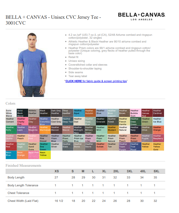 SEEO Charter School - Grey Phoenix T-Shirt