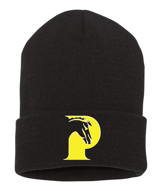 Philadelphia Elementary - Embroidered Beanie